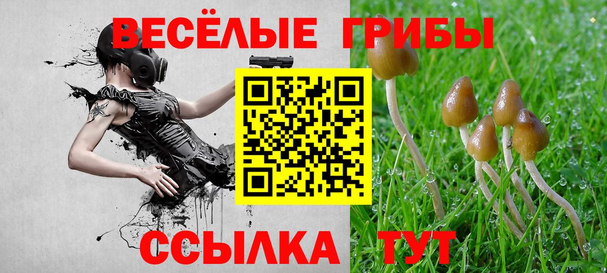 Псилоцибиновые грибы MAGIC MUSHROOMS  Вход с VPN  Иваново 